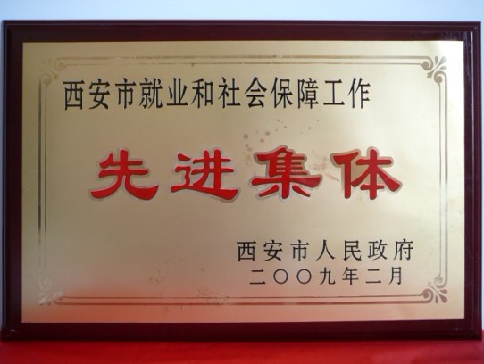 2009年2月，，，，，被西安市政府评为西安市就业和社会包管事情先进整体