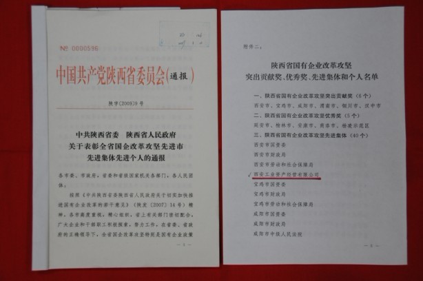 2009年2月，，，，，被陕西省委、省政府授予陕西省国有企业刷新攻坚先进整体